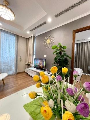 Vinhomes Times City 2Br Lake View Apartment in Hanoi