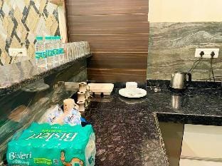 Jaipur Castle  Villa in Jaipur