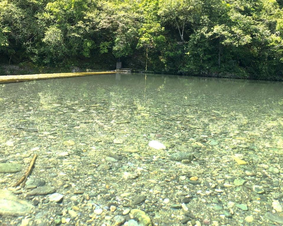 Sameura Home with organic garden Vacation rental in Japan