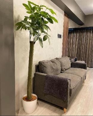 SateLuxxe Cave  Apartment in Pasay