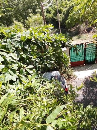 Thendralhomestay Vacation rental in Puducherry