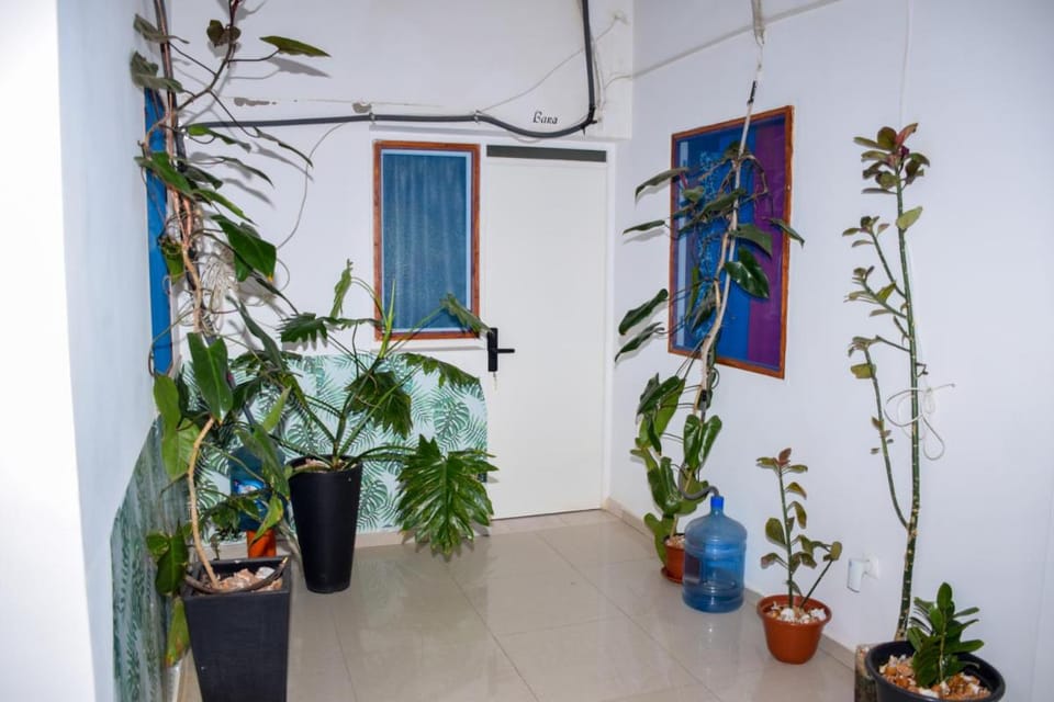 Boutique Hotel Principal ,Tarrafal Hotel in Cape Verde
