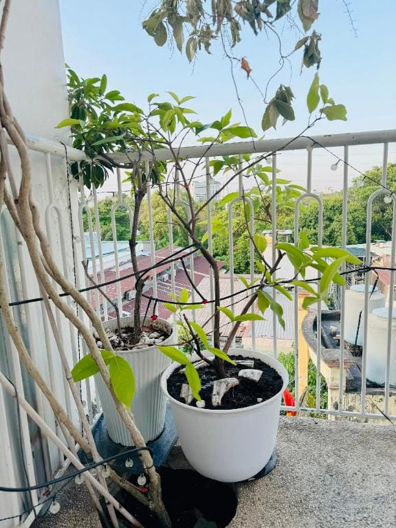 DORI HOUSE NTL (311/56) Vacation rental in Ho Chi Minh City