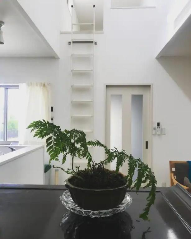 15 minutes by car to the airport - 1 minute walk to the beach - Yatsuru by the sea Vacation rental in Okinawa Prefecture