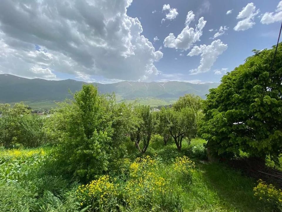 Dez Guest House, Margahovit Vacation rental in Armenia