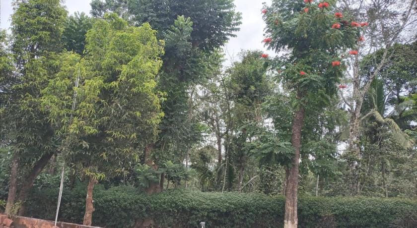 Coorg Klusters estate stay Vacation rental in Kerala