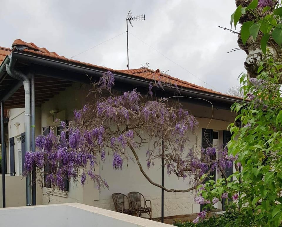 La maison d Irma à plage à 700 m Vacation rental in Nouvelle-Aquitaine