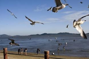 wave guest house Bed and Breakfast in Gyeonggi-do