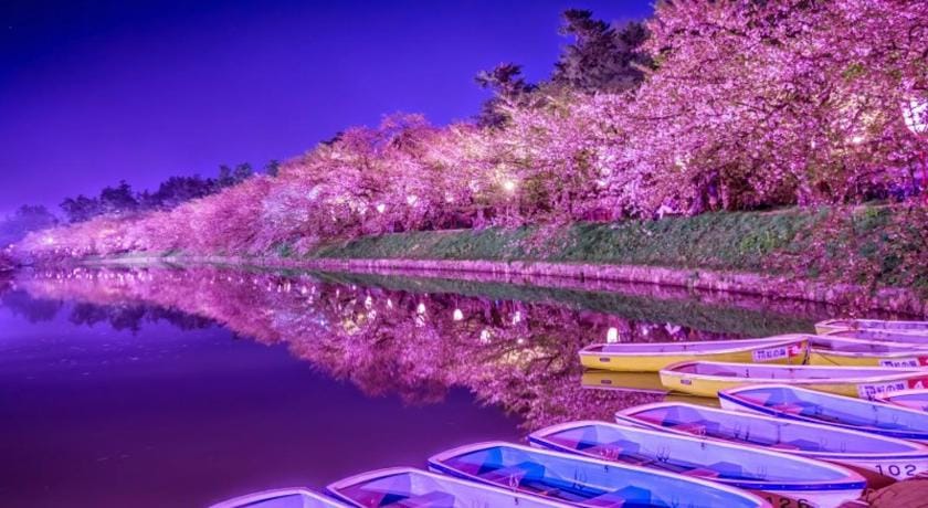 プチホテル　コスモス Hostel in Chiba Prefecture