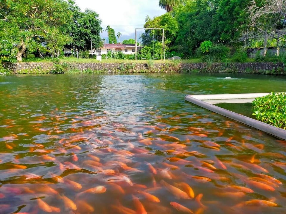Fisherman Village Homestay (Whole House - 3 Rooms) Camping, Fishing, Barbecue Vacation rental in Taiwan, Province of China