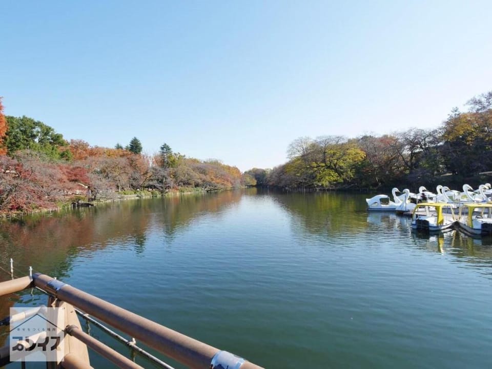 Shinjuku Popular Yamanote Line 12 Minutes Totoro House Apartment in Japan