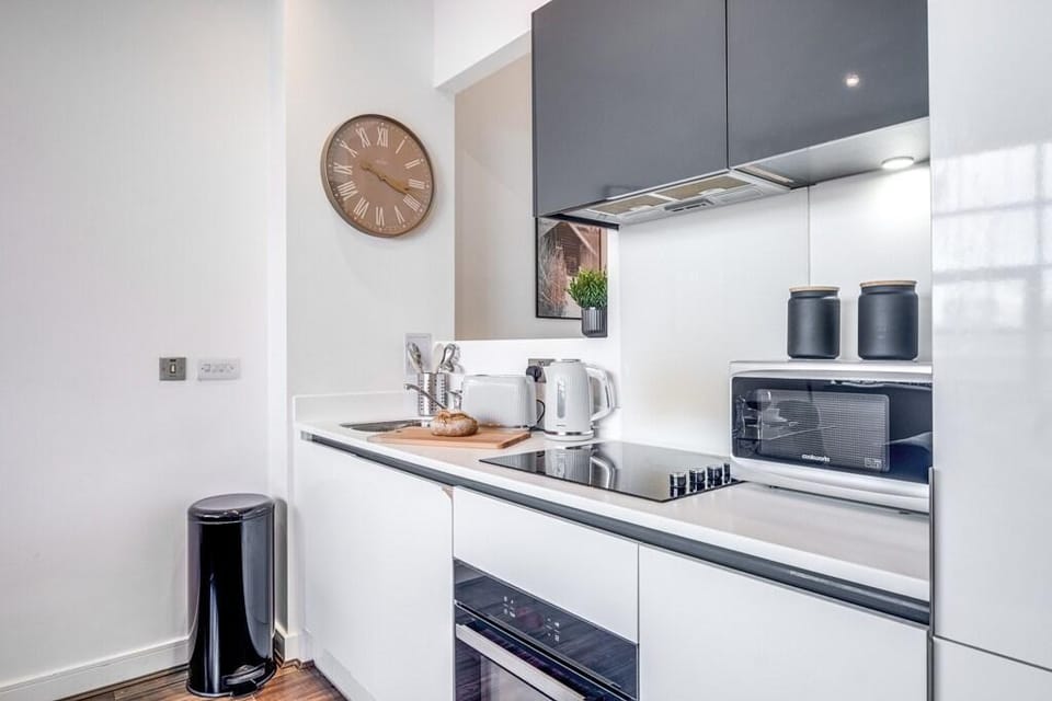 Pluxa Ivory Beautiful 1 Bedroom Apartment Vacation rental in Birmingham