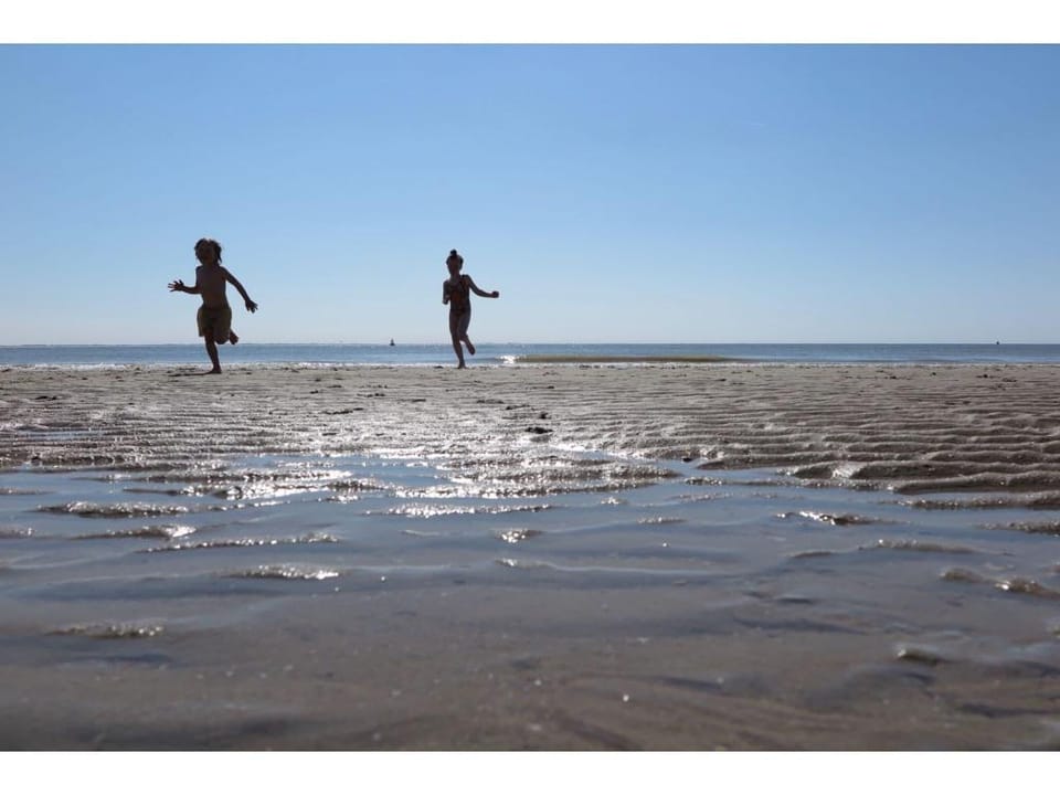 Beach House in Dishoek with BBQ and Sea Views Vacation rental in Koudekerke