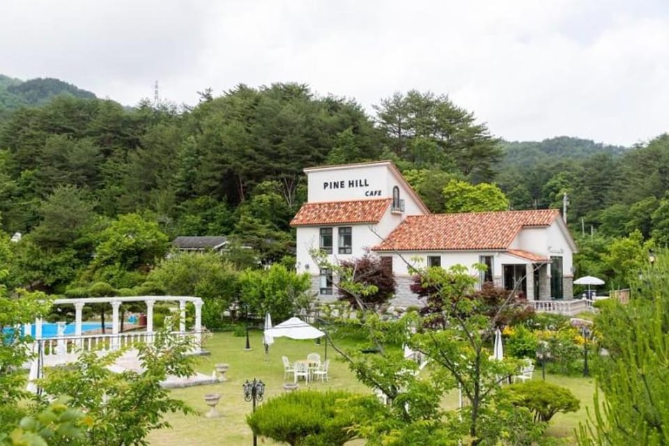 Gangneung Pine Hill Pension Bed and Breakfast in South Korea