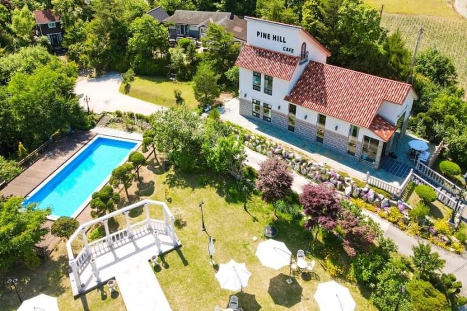 Gangneung Pine Hill Pension Bed and Breakfast in South Korea