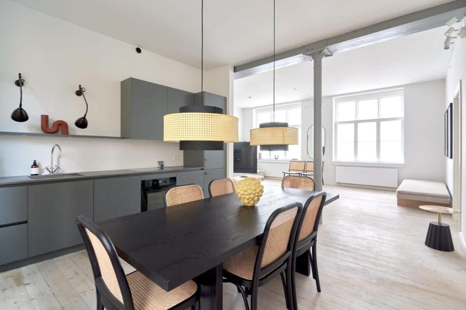 Amazing 2BR Flat in the Heart of Copenhagen Vacation rental in Copenhagen