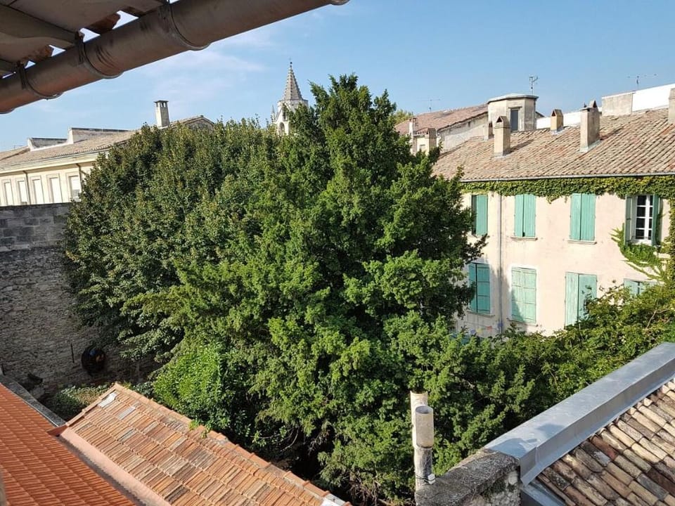Artistic Loft Travel Experience Apartment in Avignon