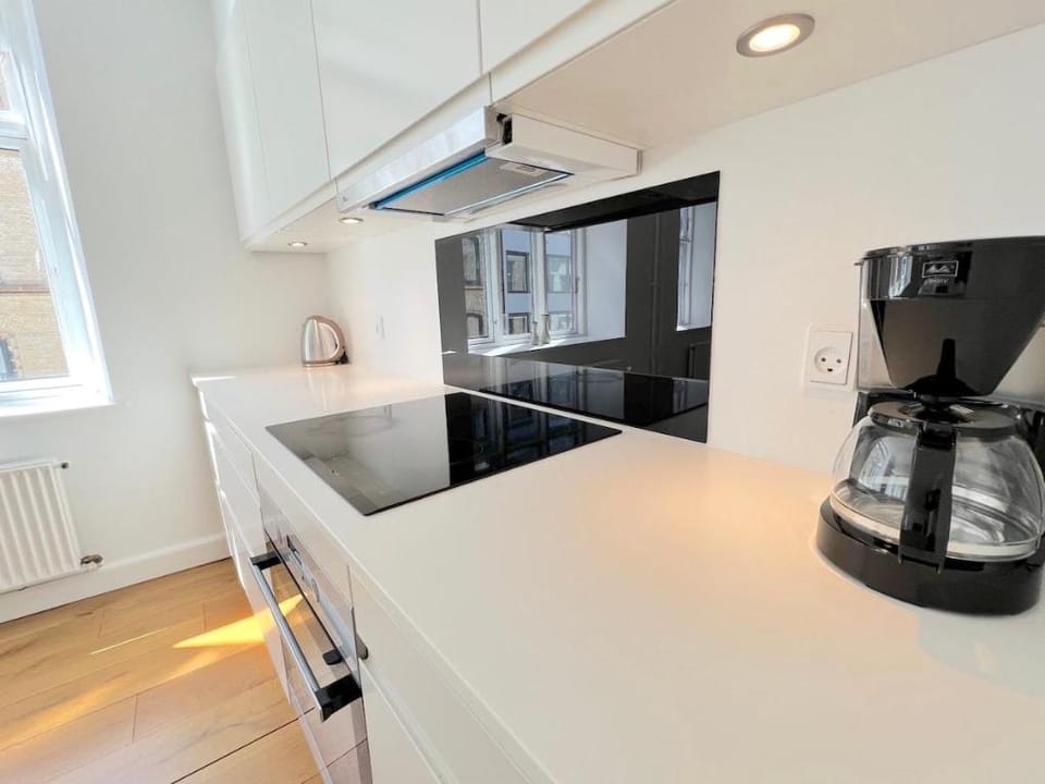 Perfect 3BR Flat in the Centre of Copenhagen Vacation rental in Copenhagen
