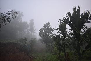 Finer Things Retreat (Shivalli Stays) Dharmasthala Vacation rental in Karnataka