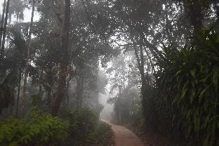 Finer Things Retreat (Shivalli Stays) Dharmasthala Vacation rental in Karnataka
