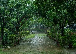 Carbery Acres Vacation rental in Uttarakhand