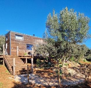 Tiny House Loul Algarve Chalet in Loulé