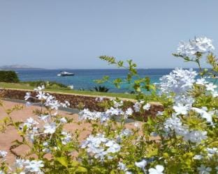 Seaside Apartment Sardinia - 6pl August - 150 m from smeraldo beach Apartment in Sardinia