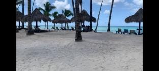 Palmera Bayahibe 311 Vacation rental in Dominicus