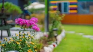 Gapyeong ATty Pension Bed and Breakfast in Gyeonggi-do