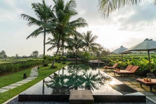 Calm Private Villa 5 BR With Ricefield View ZN42 Villa in Payangan