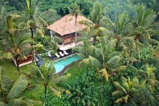 Natural View 3 BR Private Villa ZN43 Villa in Abiansemal