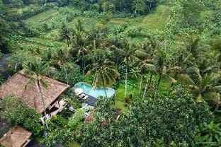 Natural View 3 BR Private Villa ZN43 Villa in Abiansemal