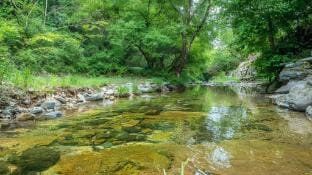 pu leun cho won ui jib Bed and Breakfast in Gyeonggi-do