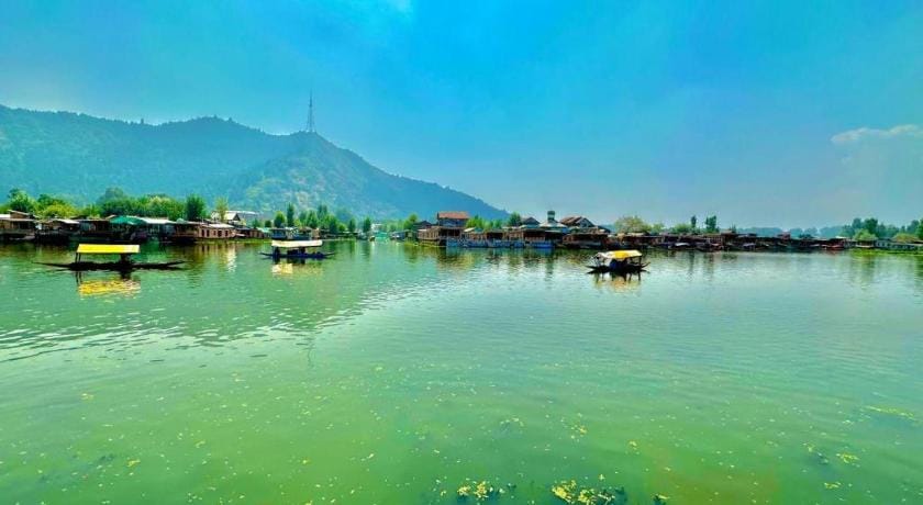 Floating Luxury Group Of Houseboats  Docked boat in India