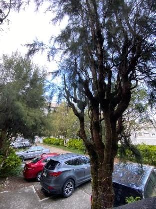 Casa Valle Verde - Unit 46A Apartment in Baguio