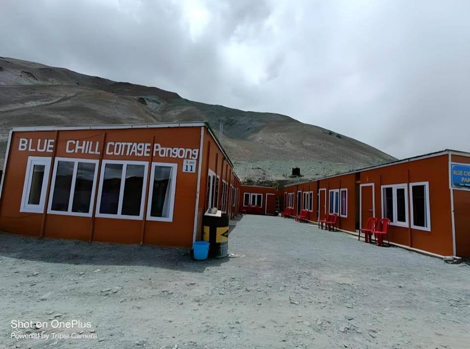 Blue Chill Cottage Pangong Hotel in India