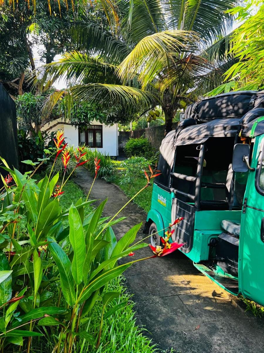 The Mango Retreat Villa in Mirissa