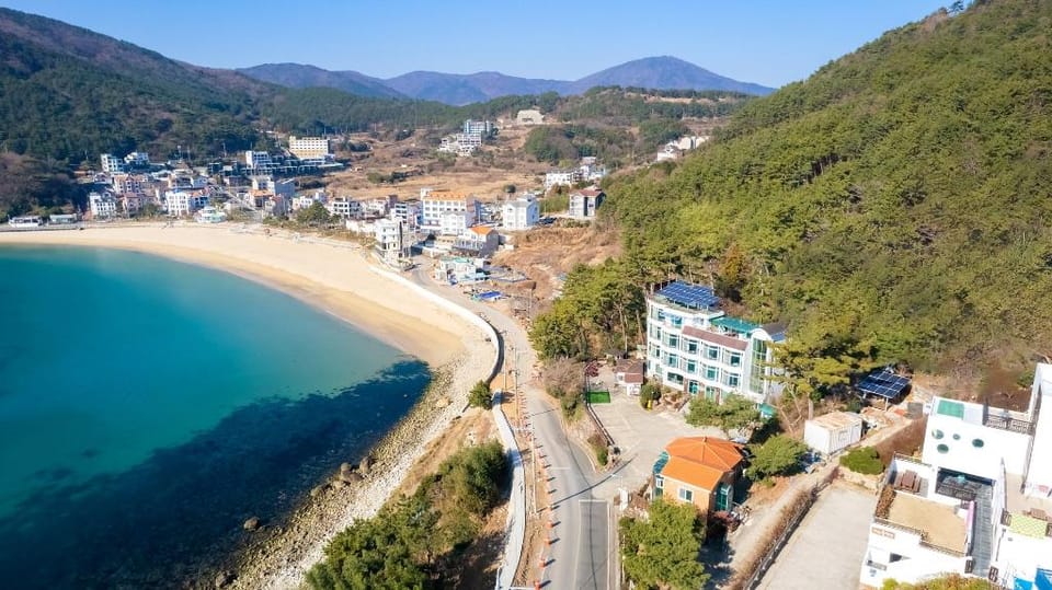 Geoje SunbeachOceanview Dog Pension Bed and Breakfast in South Korea