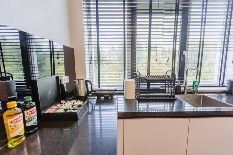 Luxurious Villa Park Amsterdam at Sloterweg 775 Vacation rental in Amsterdam