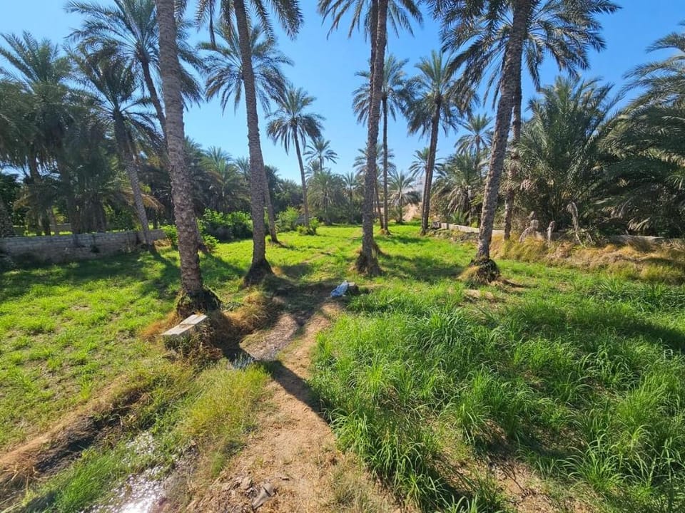 شاليه فلج السوقية Vacation rental in Oman
