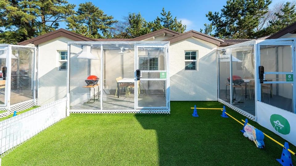 Jeju Dangdangi Dog Pension Black Bed and Breakfast in South Korea