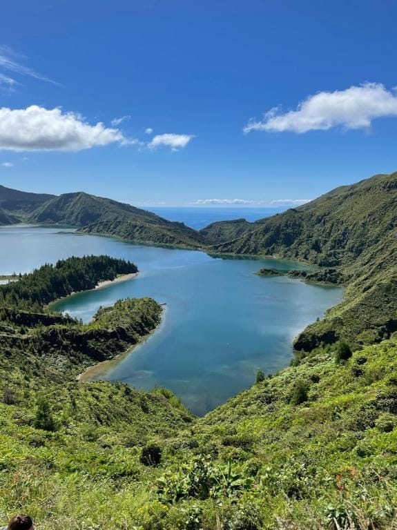 Spacious, Garden, and Private Parking Villa in Ponta Delgada