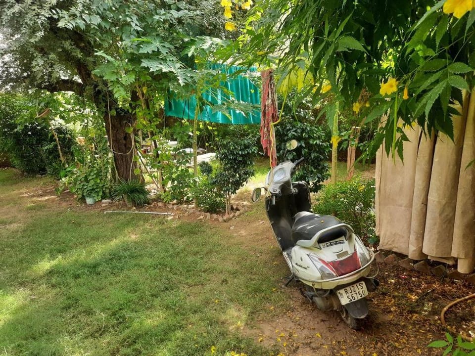 Royal Garden Stay  Villa in Rajasthan