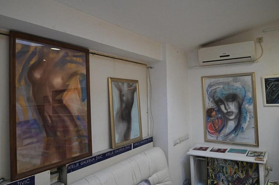 ART arting charming  app Apartment in Novi Sad