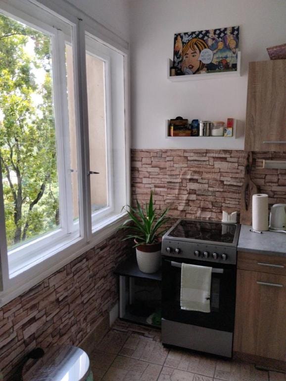 Salimana charming 
apartman Apartment in Novi Sad