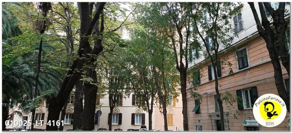 Genova Castelletto: intera casa, vista panoramica Vacation rental in Genoa