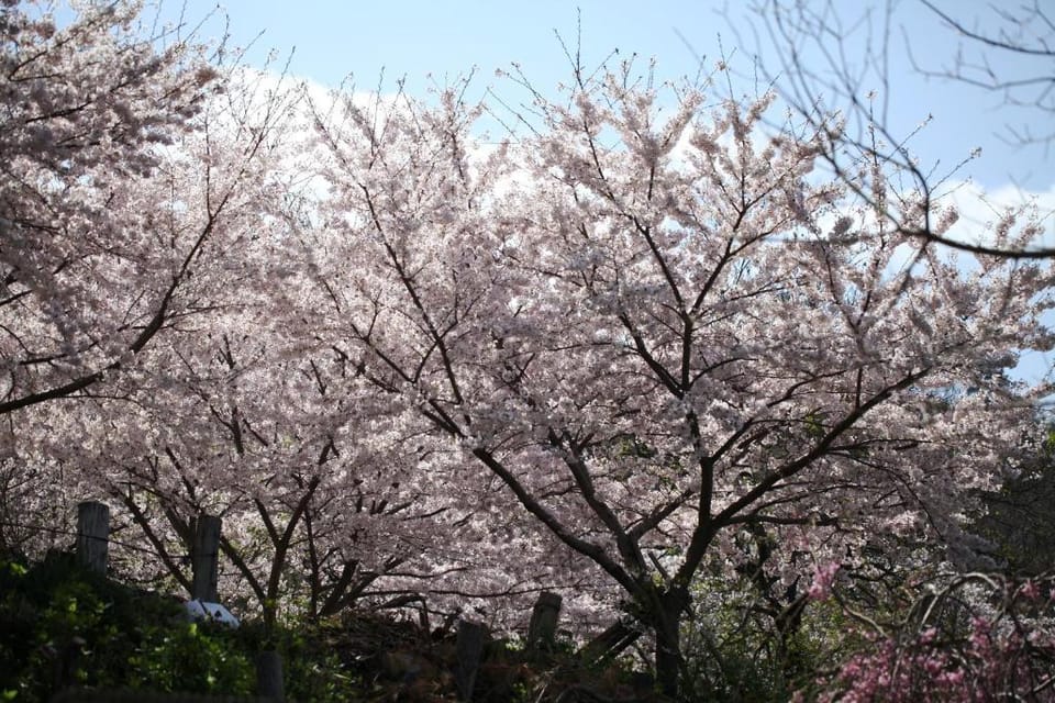 STAY Omi Hachiman Ekimae INN Apartment in Shiga, Japan