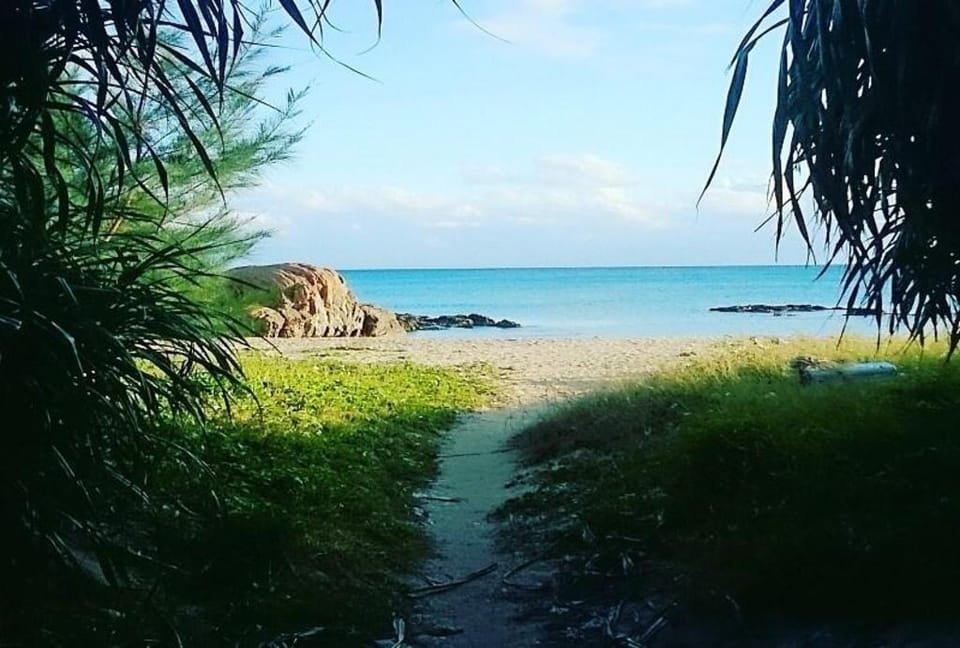 Ashipi Ginoza Exclusive Accommodation for One Group per Day Apartment in Okinawa Prefecture
