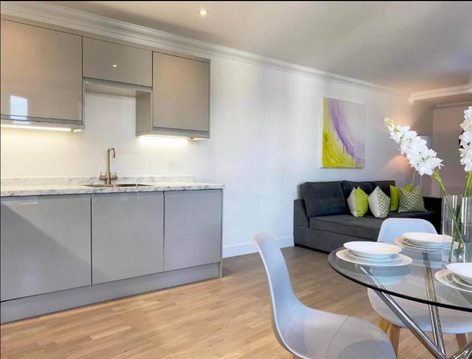 Modern stylish 2 bedroom 2 bath Apt04 in Rochester Apartment in Rochester
