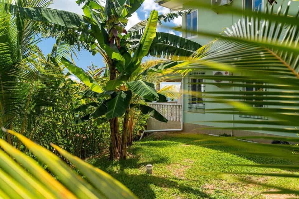 TOP VIEW RETREAT SELFCATERING Apartment in Africa
